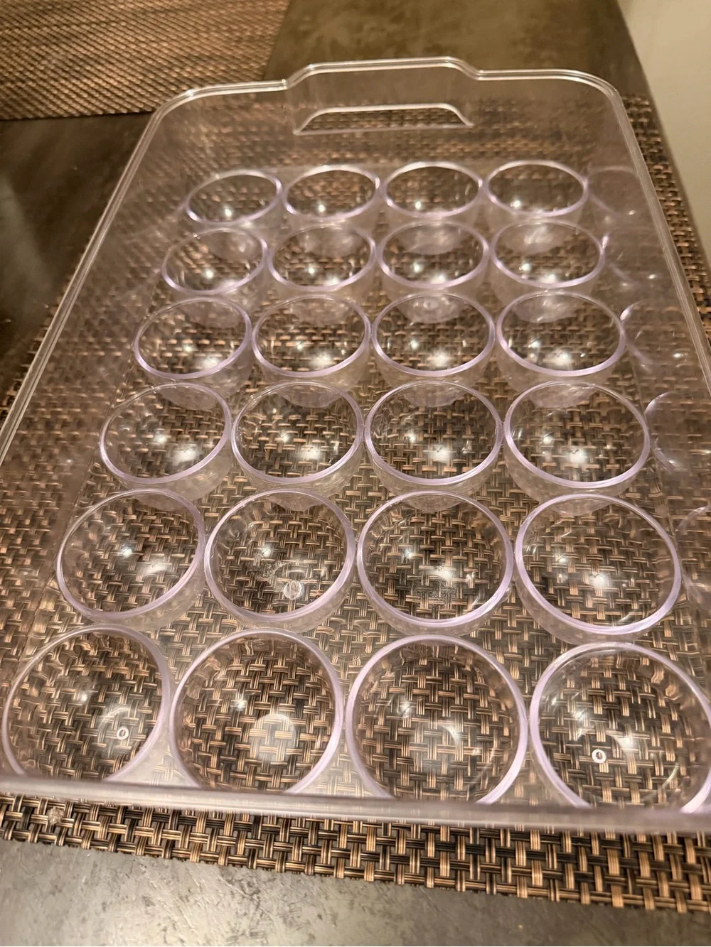 Clear Plastic 24-Cup Mold Tray